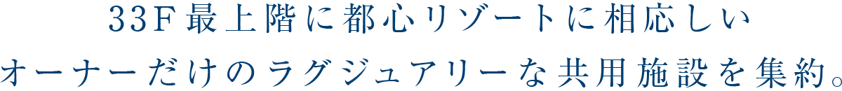 33F最上階に都心リゾートに相応しいオーナーだけのラグジュアリーな共用施設を集約。