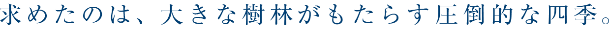 求めたのは、大きな樹林がもたらす圧倒的な四季。