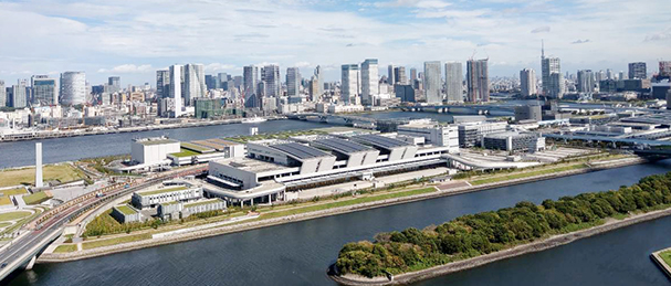 豊洲市場